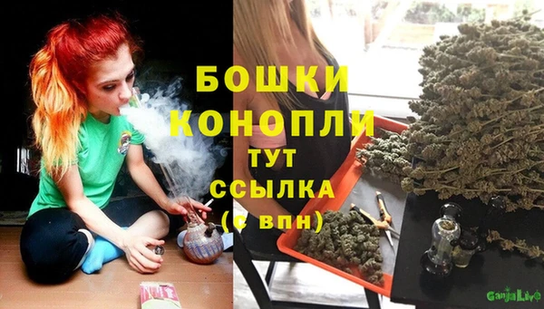стаф Михайловск