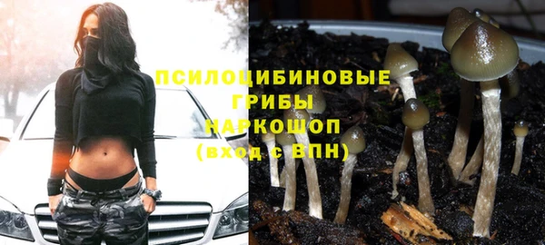 кокс Надым